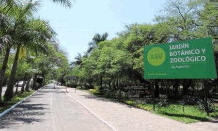 Jardin Botanico De Asuncion