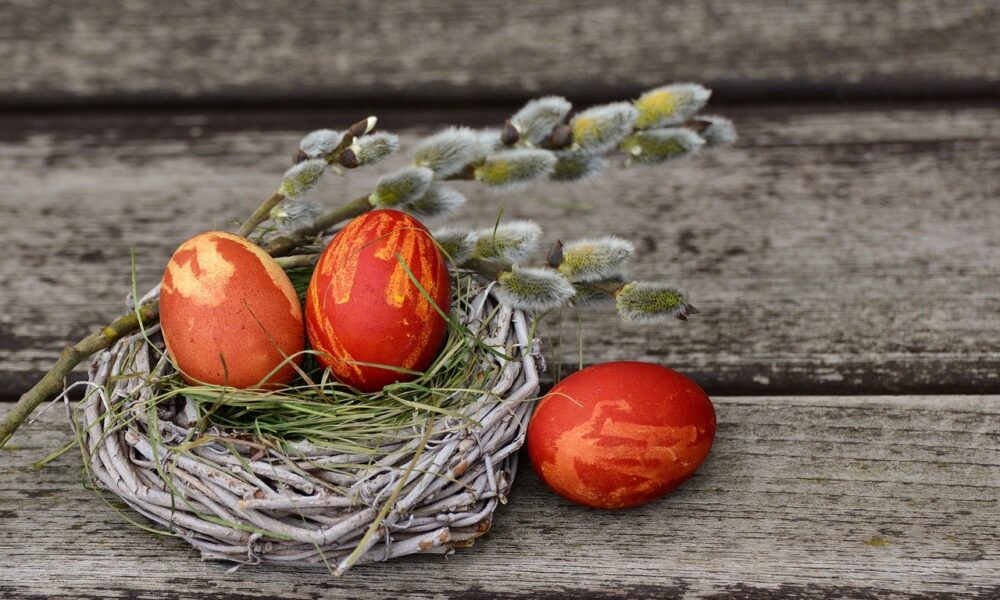 Huevos