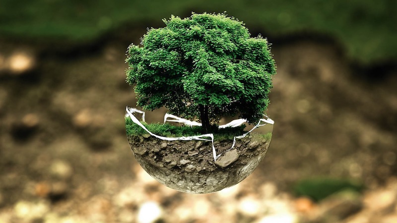 Importancia Ambiental