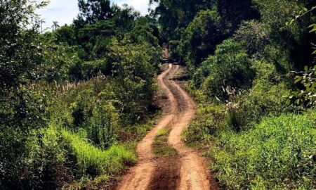 Selva