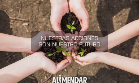 Acciones Para El Futuro