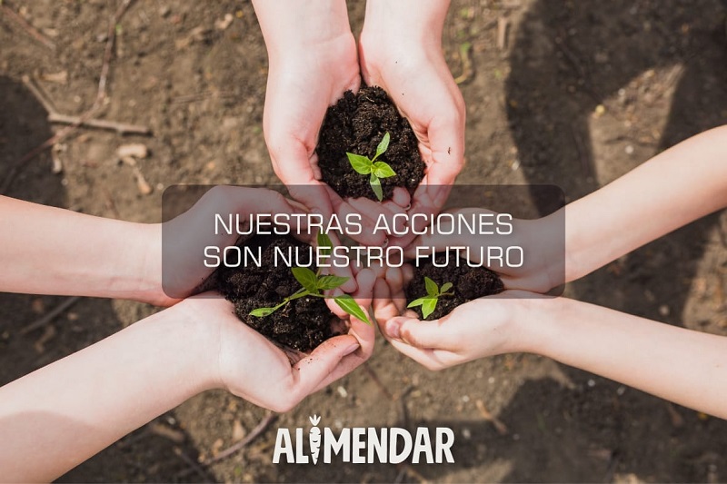 Acciones Para El Futuro