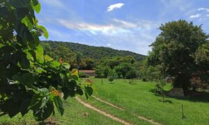 Granja San Benedetto