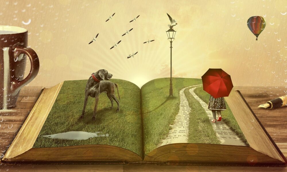 Mundo Del Libro