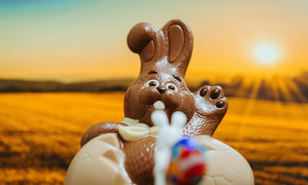 Conejo De Pascuas De Chocolate