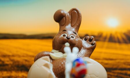 Conejo De Pascuas De Chocolate