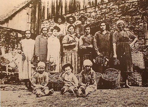 Italianos En Brasil
