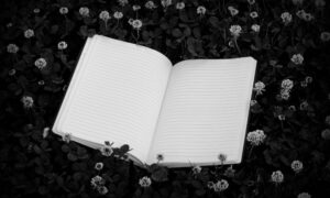 Un Libro Rayado Sobre Un Fondo Ntural