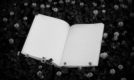 Un Libro Rayado Sobre Un Fondo Ntural