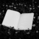 Un Libro Rayado Sobre Un Fondo Ntural