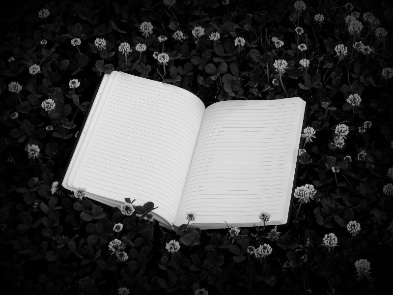Un Libro Rayado Sobre Un Fondo Ntural