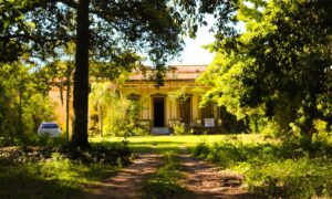 La Casa Amarilla