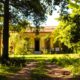La Casa Amarilla