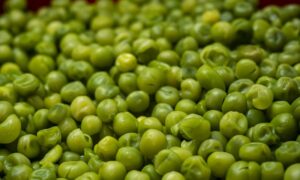 Variedad