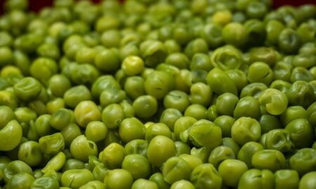 Variedad