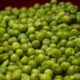 Variedad