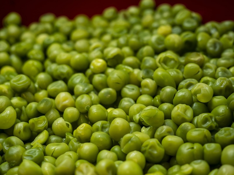 Variedad