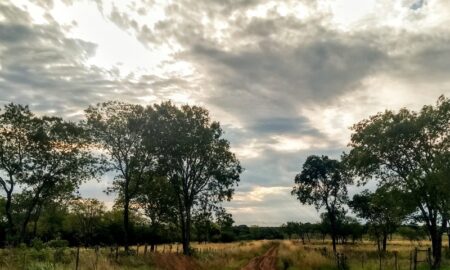 Campos Del Sur