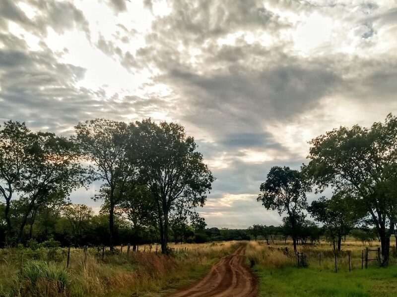 Campos Del Sur