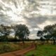 Campos Del Sur