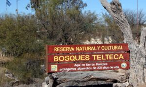 Bosque Telteca Reserva Letrero