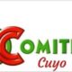 Comité De Los Italianos En El Extranjero De Cuyo Logo
