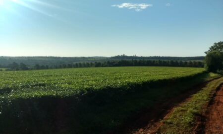 Img 20200221 Wa0131