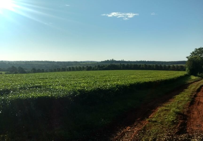 Img 20200221 Wa0131