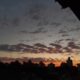 Img 20200504 Wa0008