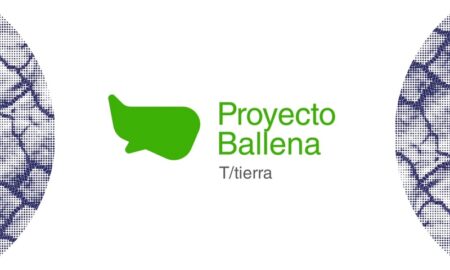 Proyecto Ballena