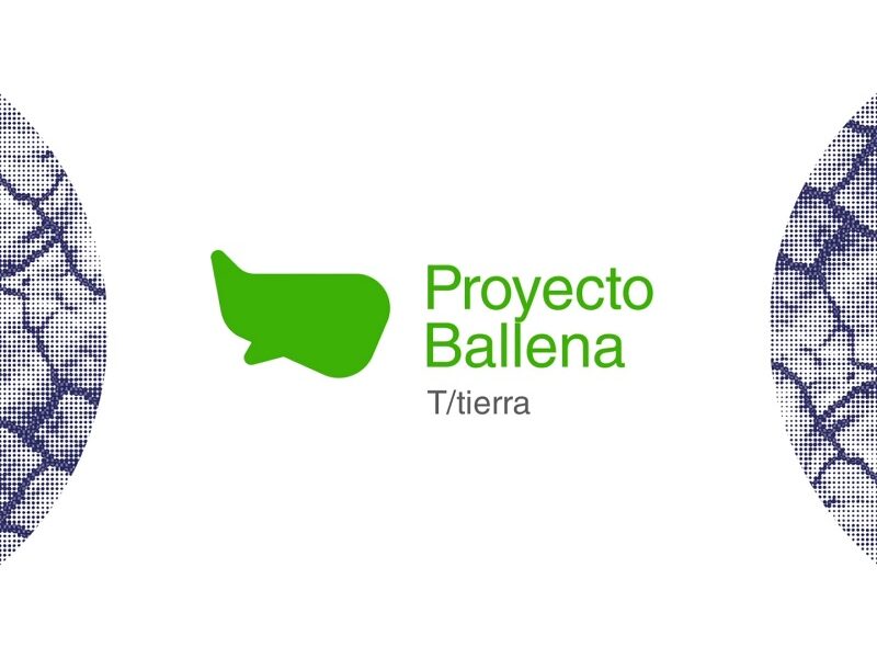 Proyecto Ballena