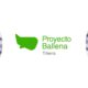 Proyecto Ballena