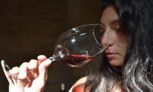 Sommelier Cata De Aromas