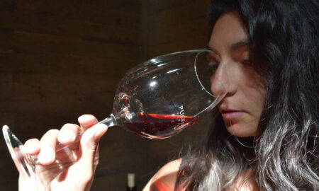 Sommelier Cata De Aromas
