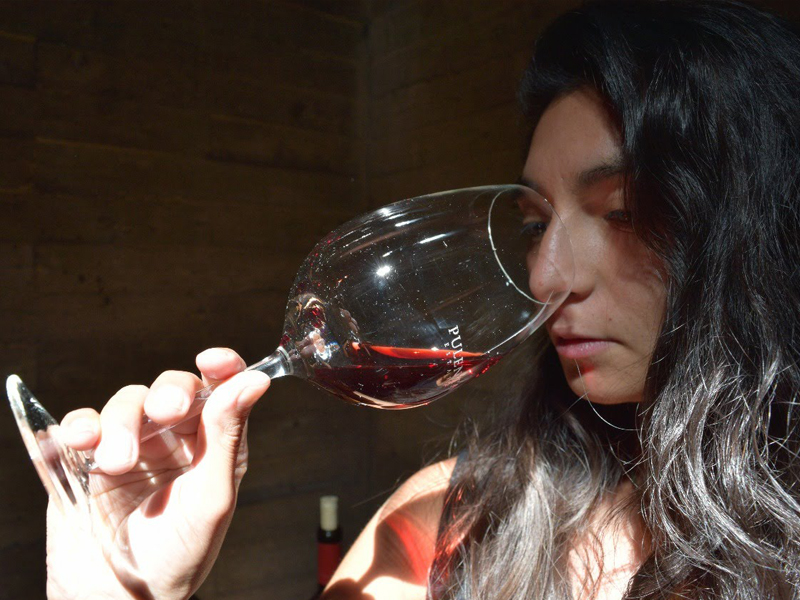 Sommelier Cata De Aromas