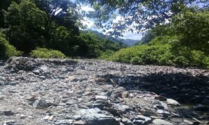 Camino