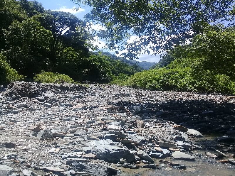 Camino