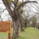 Parque Provincial Ibatin