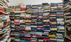 Junio En Mendoza Libros