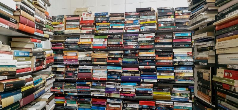 Junio En Mendoza Libros