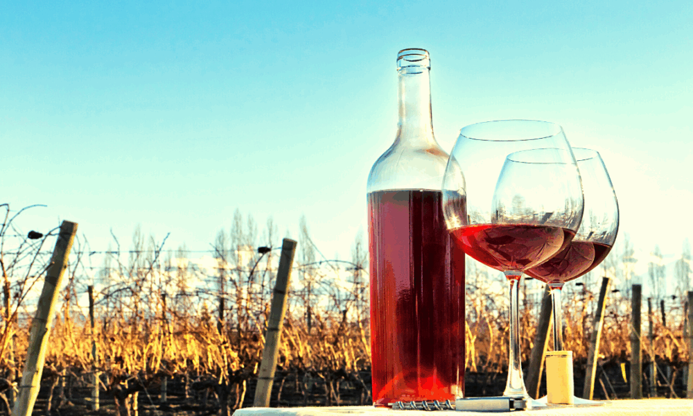 Viñedo