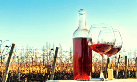 Viñedo