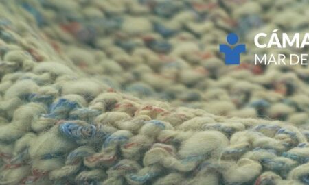 Camara Textil Mar Del Plata Logo
