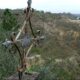 Panorama Cementerio