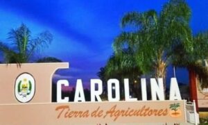 Cartel De Entrada Carolina