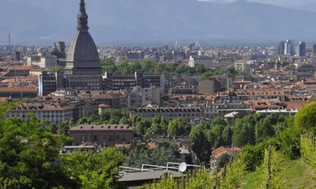 Ciudad De Torino Y Viñedos