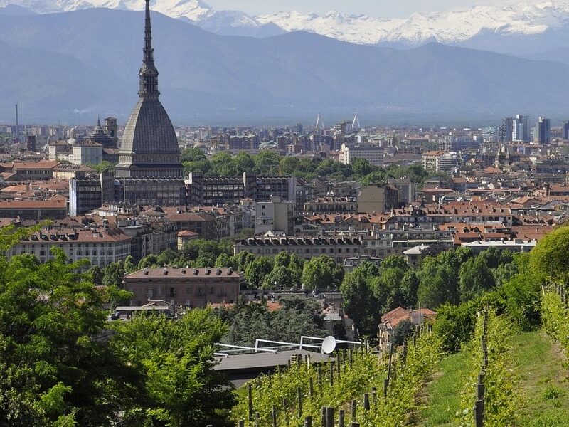 Ciudad De Torino Y Viñedos
