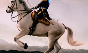 Libertador San Martín Imagen Ecuestre