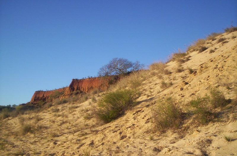 Vista Panorámica