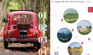 Guía Turística Viaje A Las Raíces